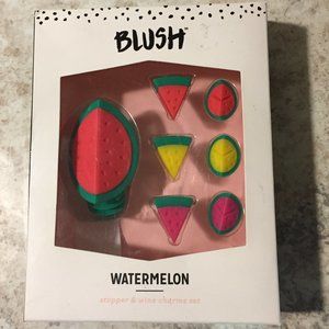 Blush Watermelon Wine Stopper & Charms Set - NEW!